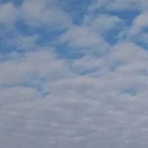 Meet your Posher, Chi long